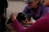 <p>Veterinarian Dawn Alves tends to a dog named Fatty who received burns on its eyes and chin during the Camp Fire in Paradise, Calif., Nov. 9, 2018. (Photo: Stephen Lam/Reuters) </p>