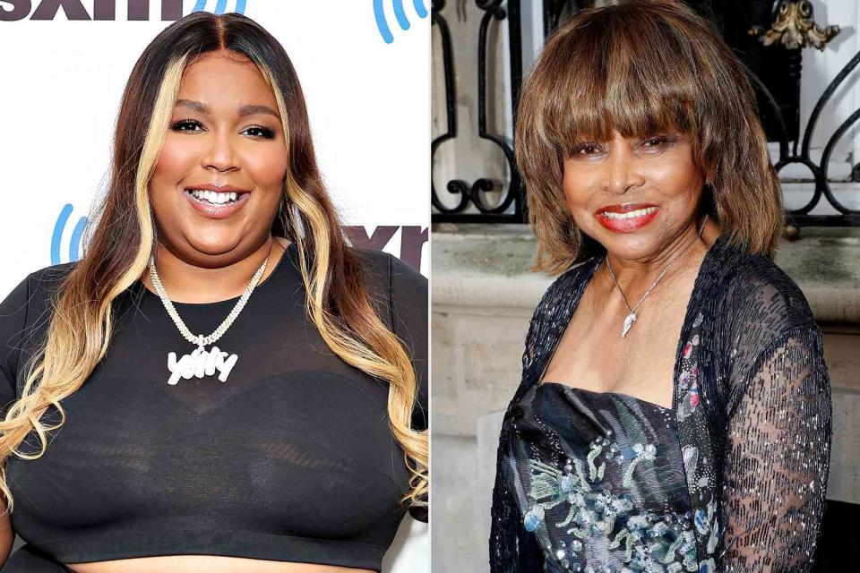 <p> Cindy Ord/Getty Images; Bertrand Rindoff Petroff/Getty Images</p> Lizzo; Tina Turner