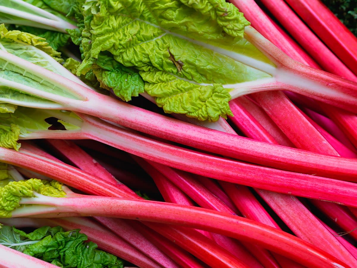 Rhubarb is a quintessential spring delight (Getty)