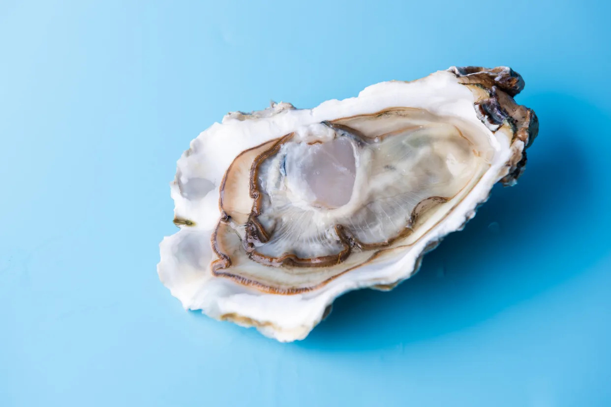 An open-faced oyster.