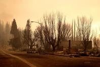 Burned trees and buildings at the Dixie Fire in Greenville