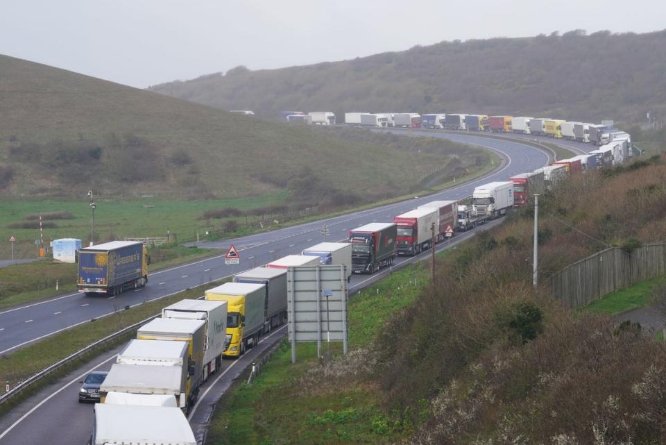 Lorries queueing on the A20 to get to the Port of Dover (Gareth Fuller/PA Wire)