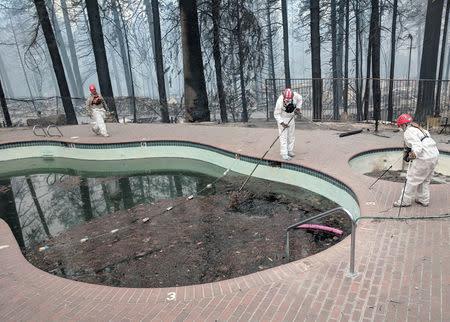 Investigadores forenses buscan en una piscina comunitaria por víctimas del Camp Fire en Paradise, California, EEUU. 13 de noviembre de 2018. REUTERS/Noel Randewich