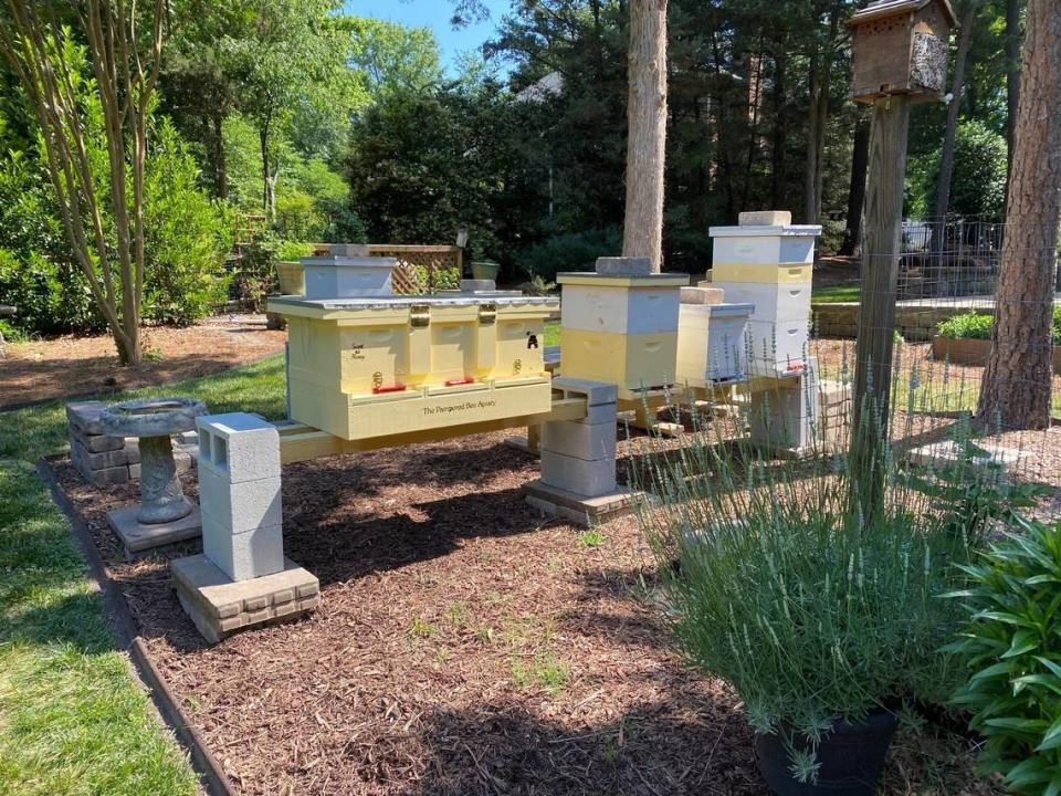 The Pampered Bee Apiary has a compact setup for honey production.
