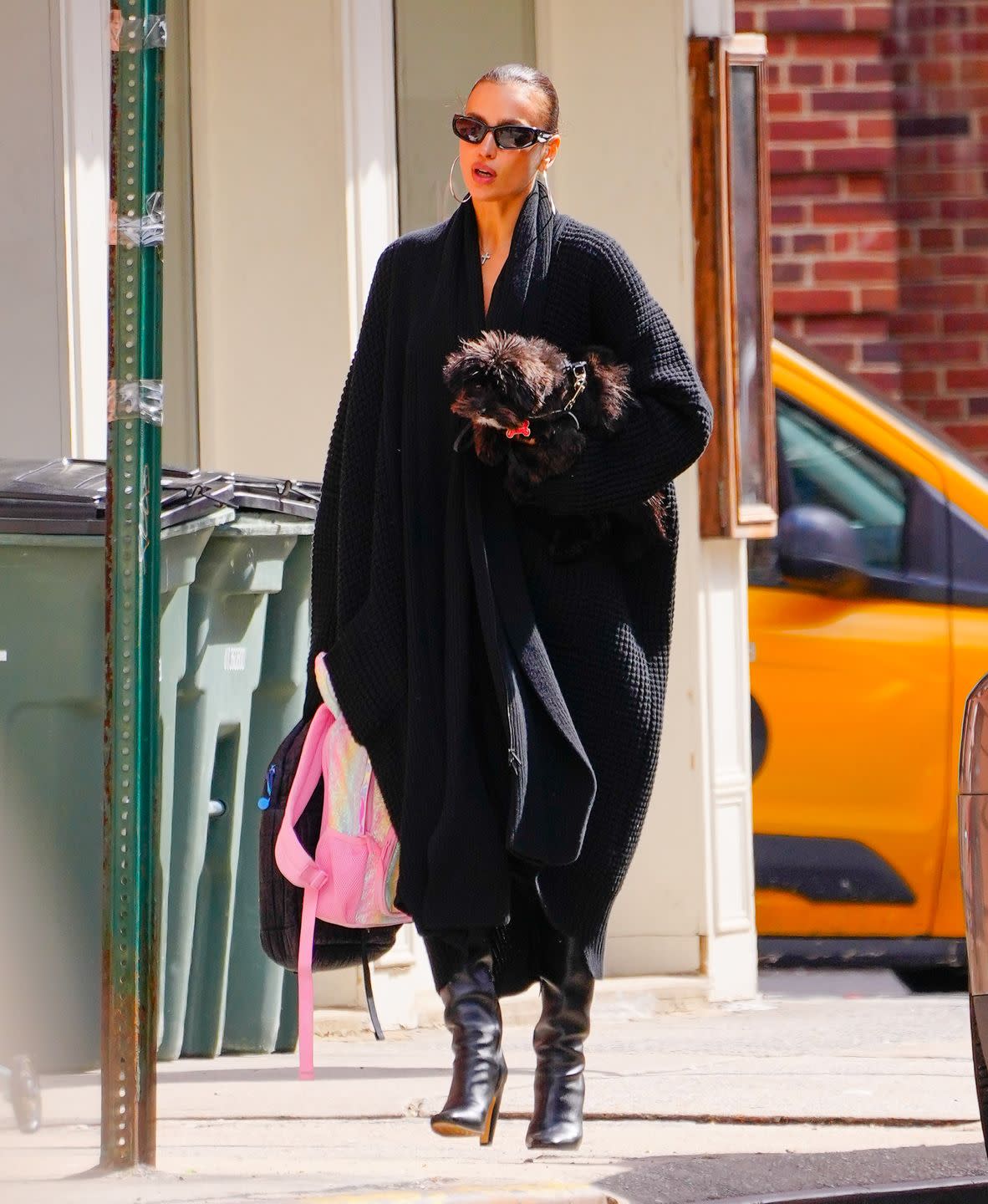 new york, new york april 04 irina shayk is seen with her dog on april 04, 2024 in new york city photo by gothamgc images