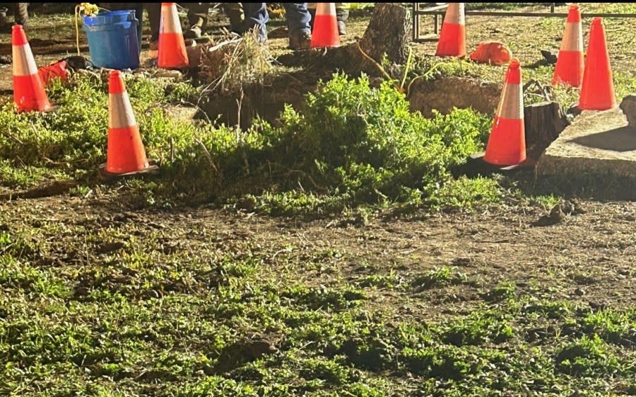 Crime scene. Photograph provided by Delaware County Sheriff’s office.