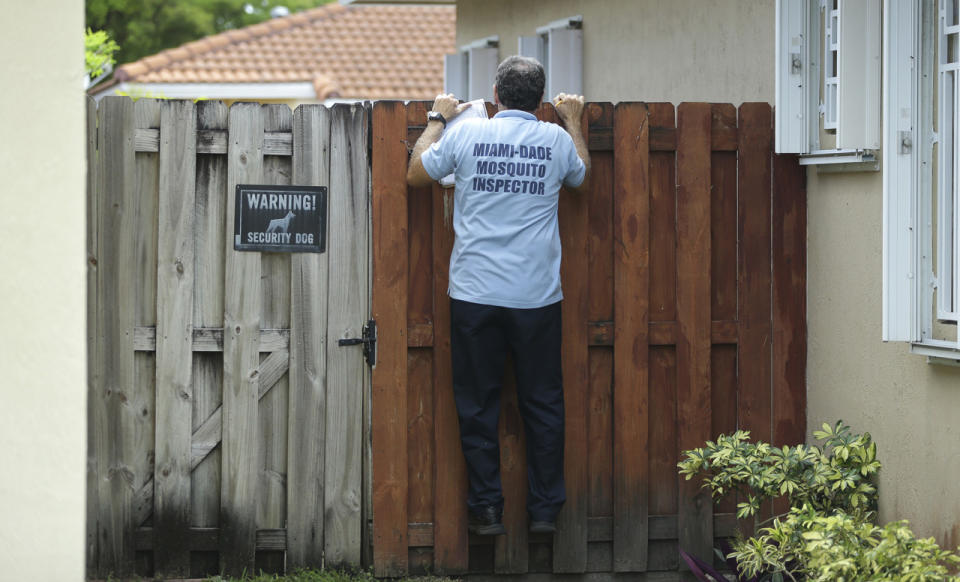 <p>Giraldo Carratala, an inspector with the Miami Dade County mosquito control unit, peers over a fence into the back yard of a home, Tuesday, April 12, 2016, in Miami, Fla. (AP Photo/Lynne Sladky)</p>