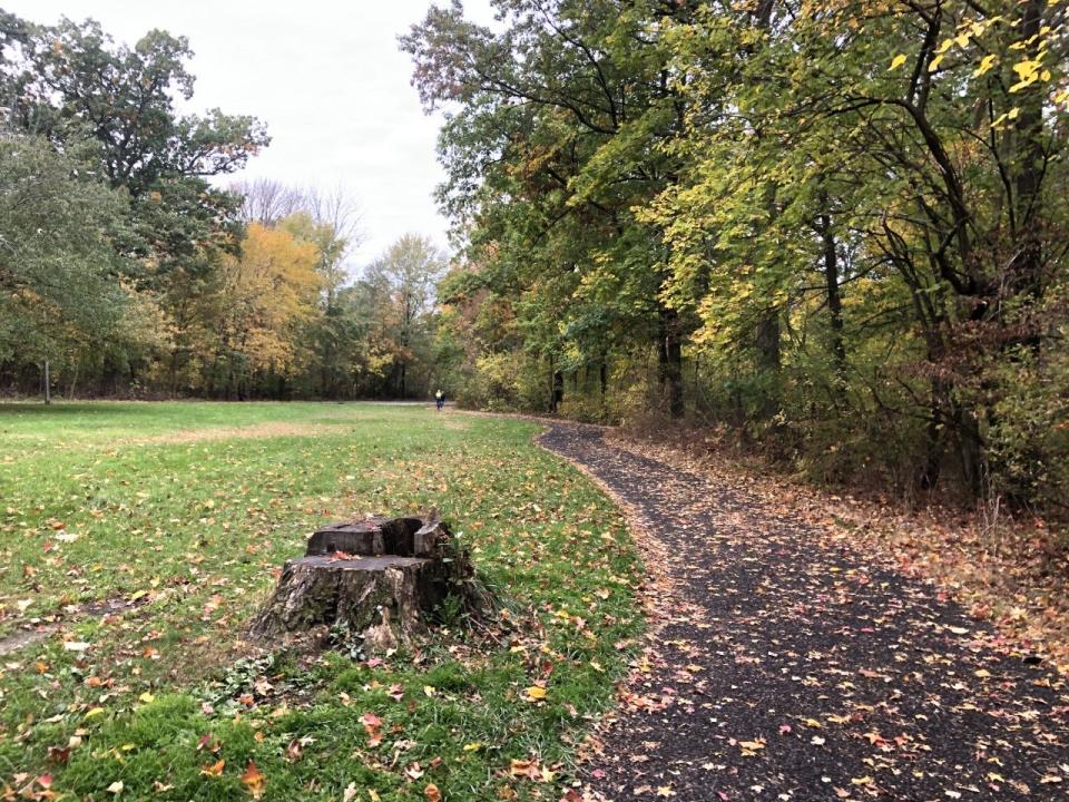 The skating center is located in Branch Brook Park in Newark.