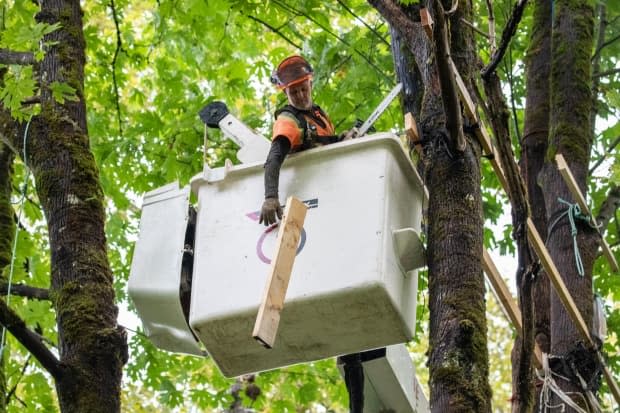 TMX pipeline contractors cut down a treehouse belonging to protestors on the TMX pipeline construction area in Burnaby, British Columbia on Tuesday, Sept. 28, 2021.  (Ben Nelms/CBC - image credit)