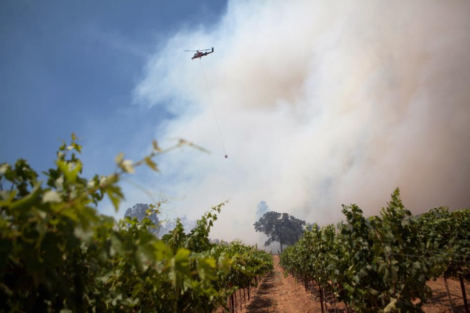 A helicopter flies over a vineyard as firefighters battle the "Sand Fire" near Plymouth, California