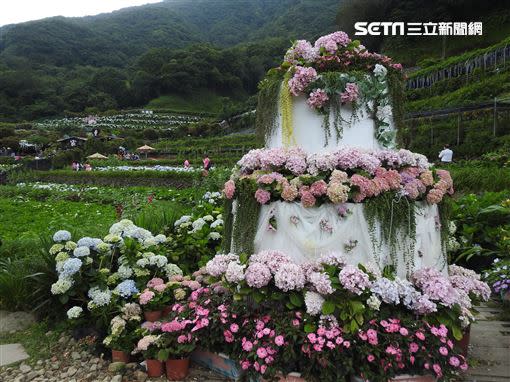 曹家花田香（圖／翻攝自北市府官網）