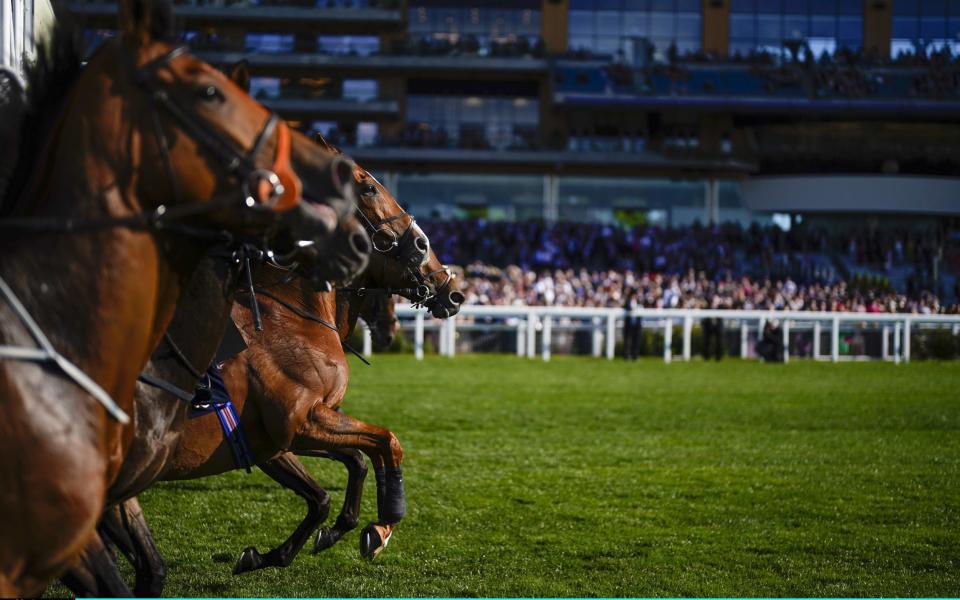 A general view as runners leave the stalls in The Copper Horse Stakes during Royal Ascot 2022 at Ascot Racecourse on June 14, 2022 in Ascot, England