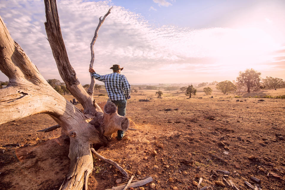 All farmers in NSW have now been affected by the drought considered one of the worst in the last 100 years. Source: Getty