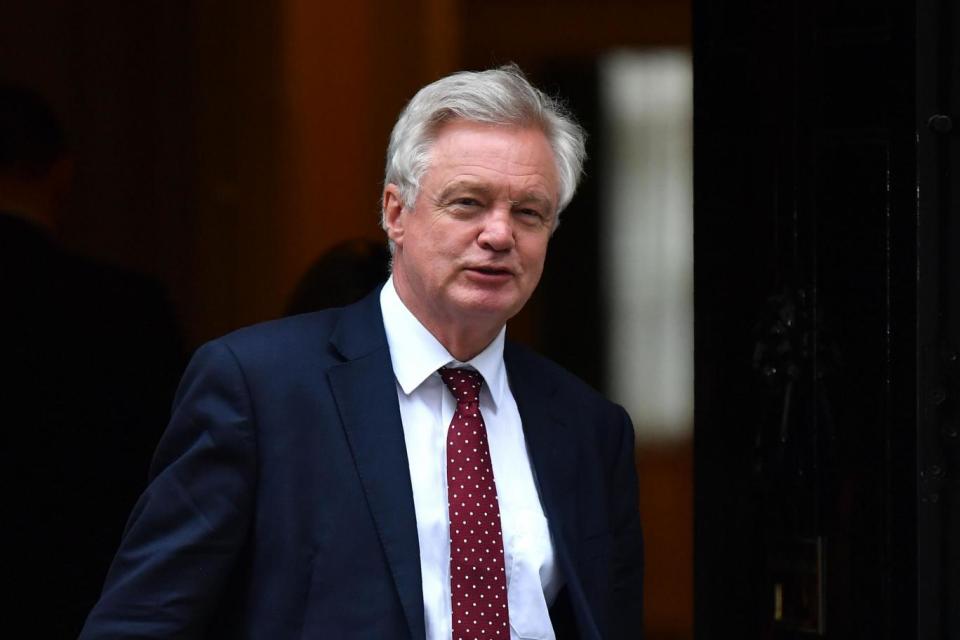 David Davis is currently the overall favourite to replace Theresa May (AFP/Getty)