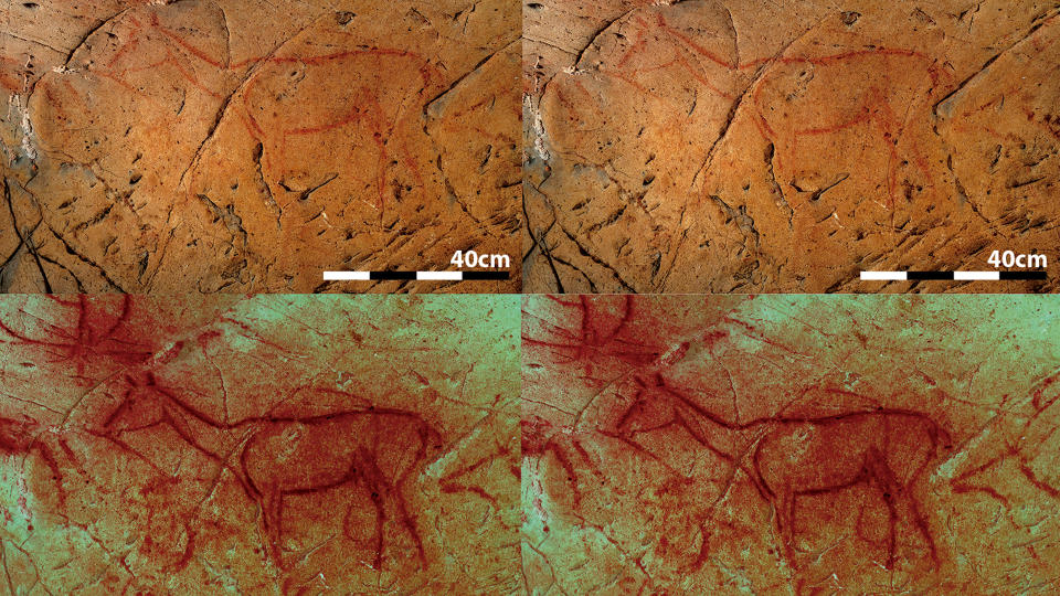 We see four images of a four-legged horse-like animal painted on a cave wall.