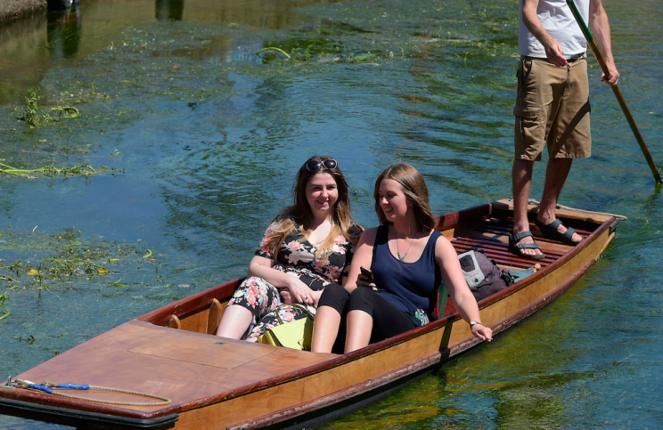 Some punters went punting on the River Stour at Westgate, Kent (Picture: Rex)