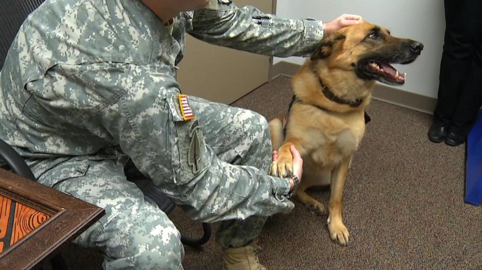 This photo taken Feb. 18, 2014 shows a German Shepherd Lexy, with Van Woodruff, former Sgt. 1st Class who got a medical retirement, that is changing the lives of U.S. Army soldiers being treated for physical and psychological injuries. Maj. Christina Rumayor, a psychiatrist at the 82nd Airborne Division, says Lt. Col. Lexy — the therapy dog — is one of her most important tools. (AP Photo/Alex Sanz)