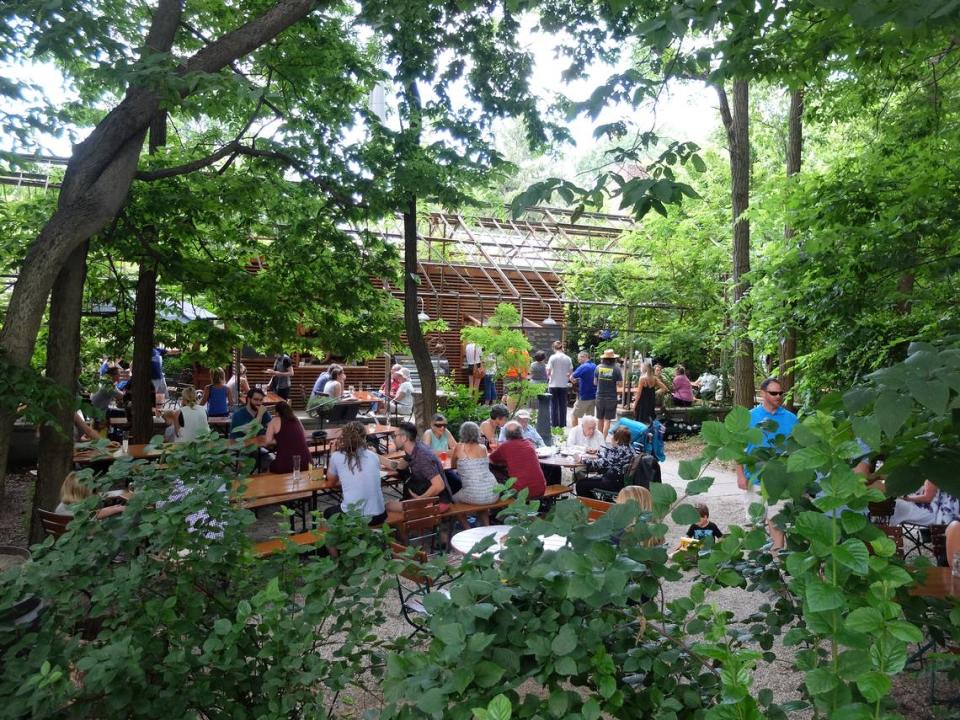 Kentucky Native Cafe is a hidden restaurant tucked into an old greenhouse behind Michler’s. You can get craft beer and food there while you enjoy a quiet oasis in Lexington.