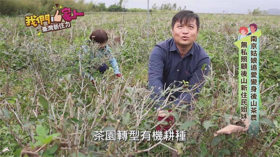 南京姑娘追愛變茶農　無私照顧後山新住民姐妹