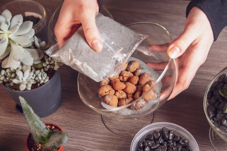 A person pouring putting gravel and sand into glass terrarium dish near potted succulent plants.