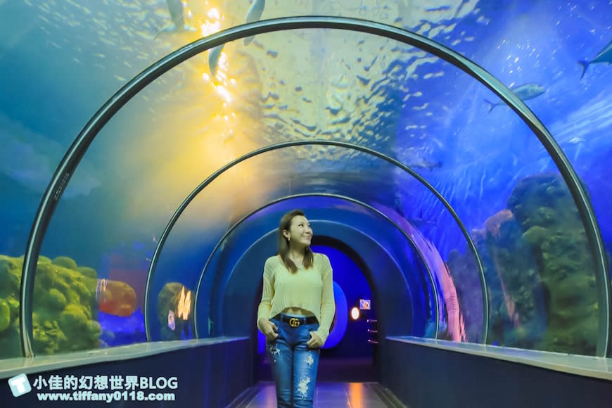 澎湖水族館