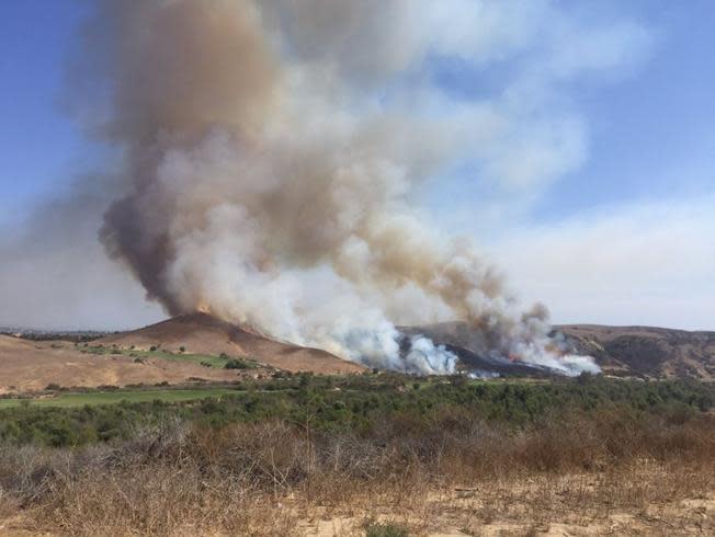 A picture of the brush fire. (NBC Los Angeles)