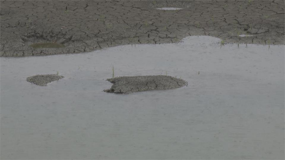 連兩日降雨助解渴　澄清湖蓄水量提升120萬噸