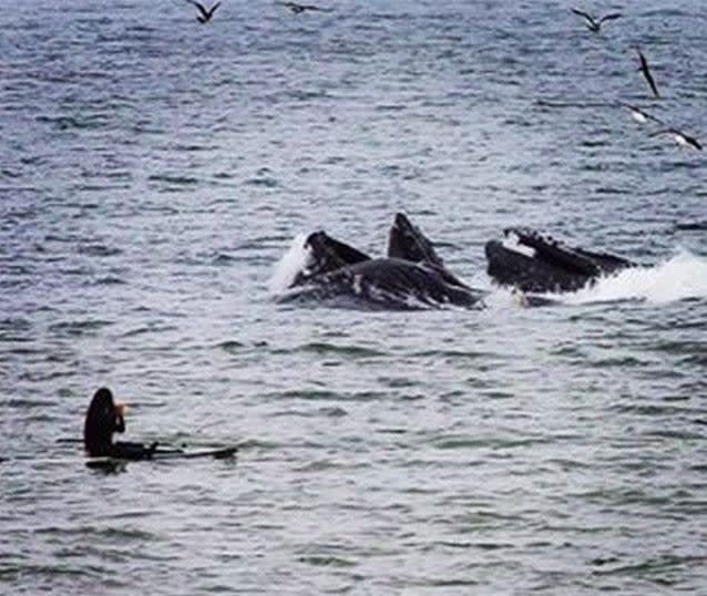 Viviana Guzman plays her flute for the whales at Half Moon Bay, California. Picture: Instagram/viviana_flutequeen