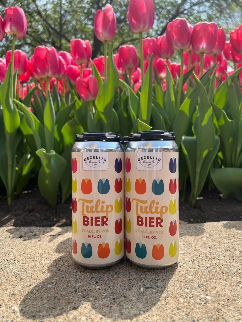 Gezellig Brewing Co. created a tulip-flavored beer in time for Pella's annual Tulip Festival in 2023.