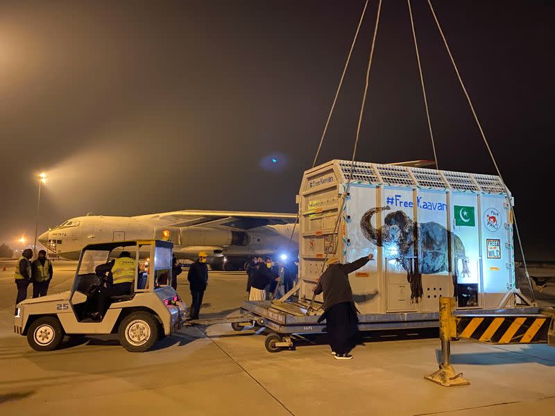 A man gestures next to a crate carrying Kaavan, an elephant to be transported to a sanctuary in Cambodia is seen at the Islamabad International Airport in Islamabad