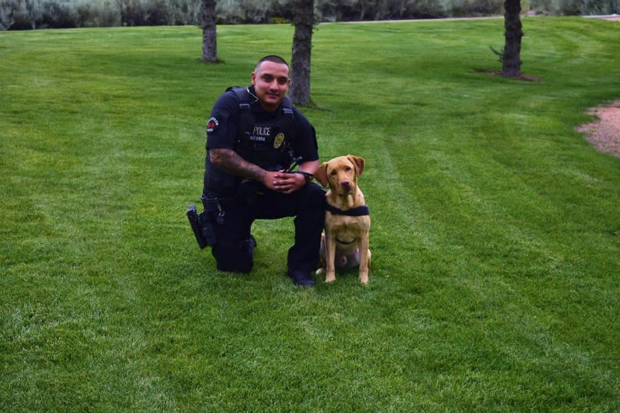 Officer Julian Becerra with K9