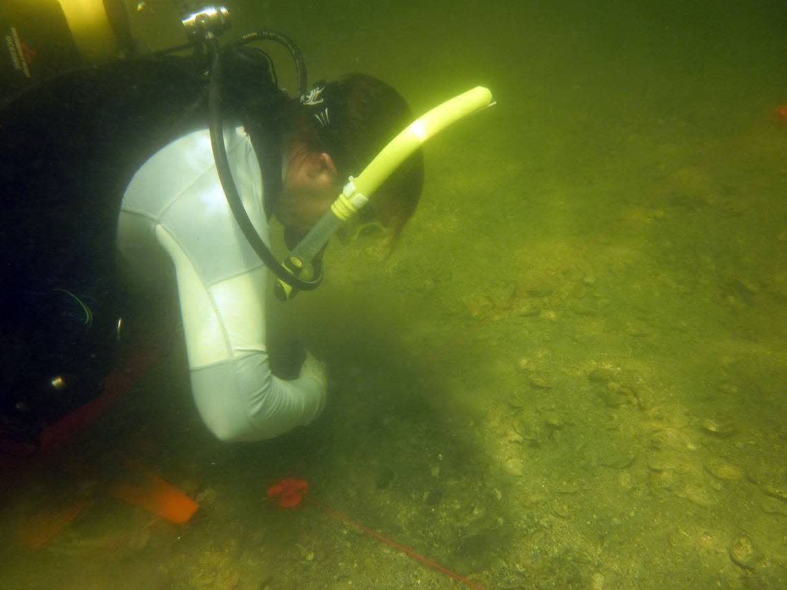 Jessica Cook Hale collects samples from a 5,000-year-old shell midden now submerged beneath the sea in Apalachee Bay.