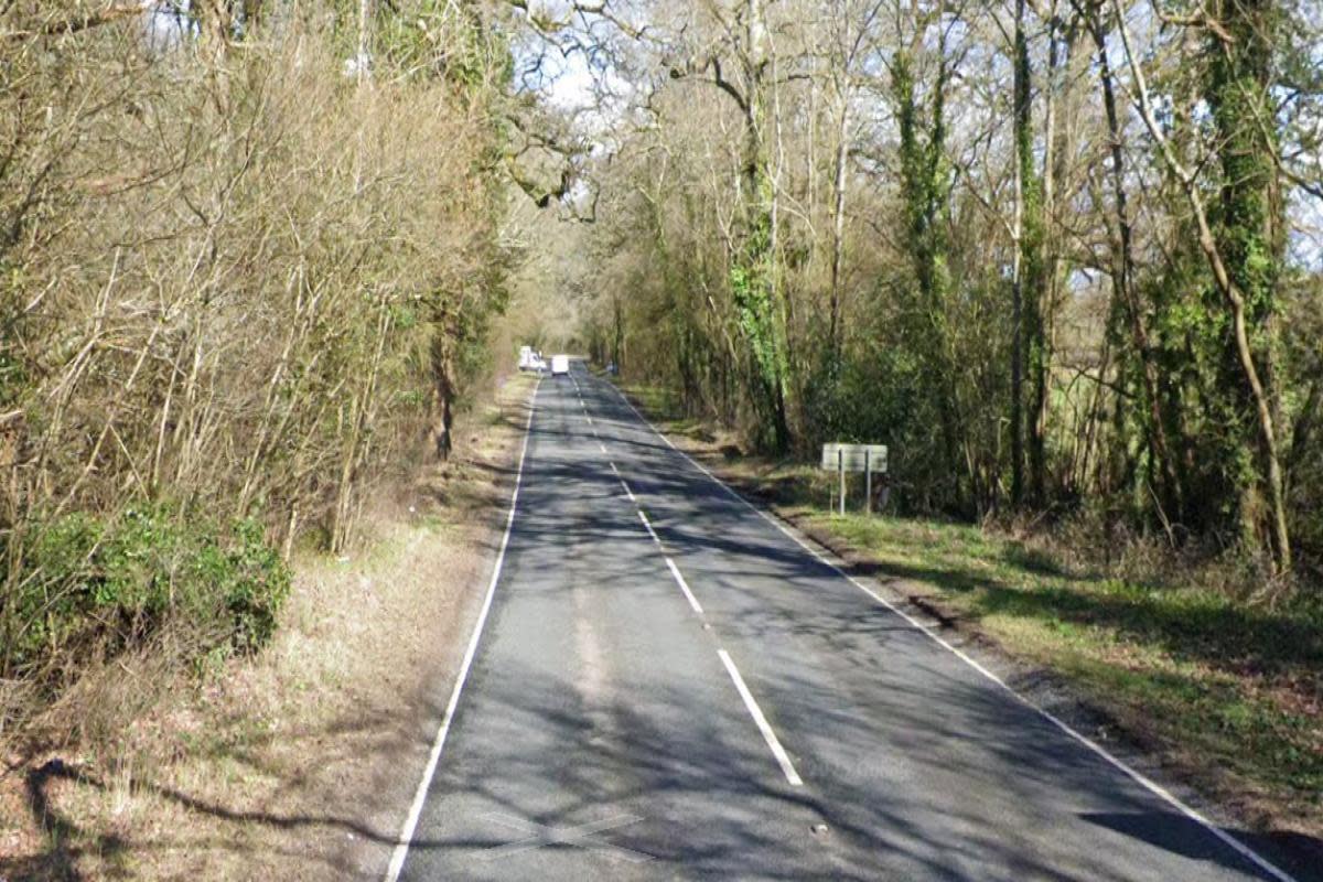 Man, 21, dies after car left road and crashed into tree <i>(Image: Google Maps)</i>