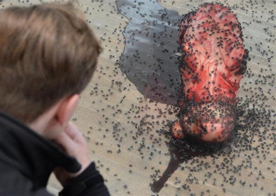 A visitor views "A Thousand Years," flies feeding off a cow's head by British artist Damien Hirst at the Tate Modern gallery in London April 2, 2012.
