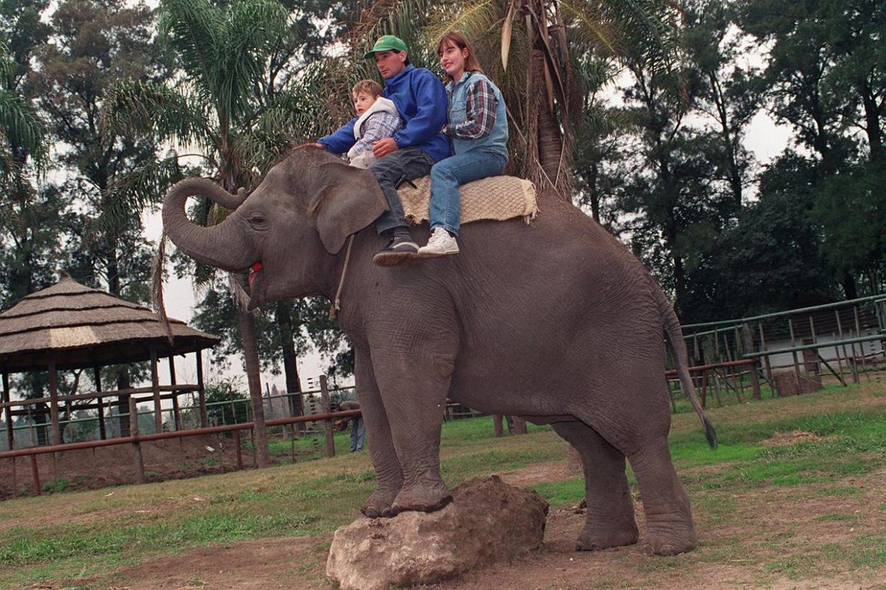 Clausuraron el zoo de Luján por serias irregularidades y sospechas de maltrato animal y venta ilegal de especies 