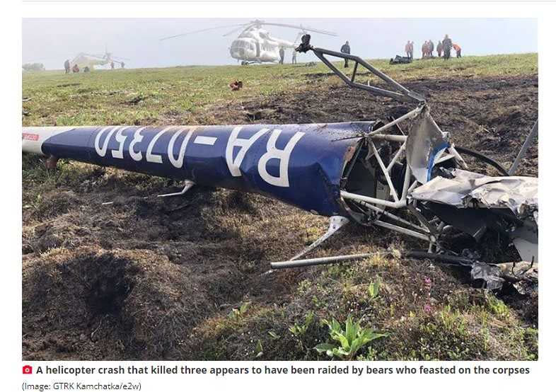 俄羅斯一架直升機墜毀在堪察加半島，機上3人遺體被棕熊拖走啃食。（圖／翻攝自《每日星報》）
