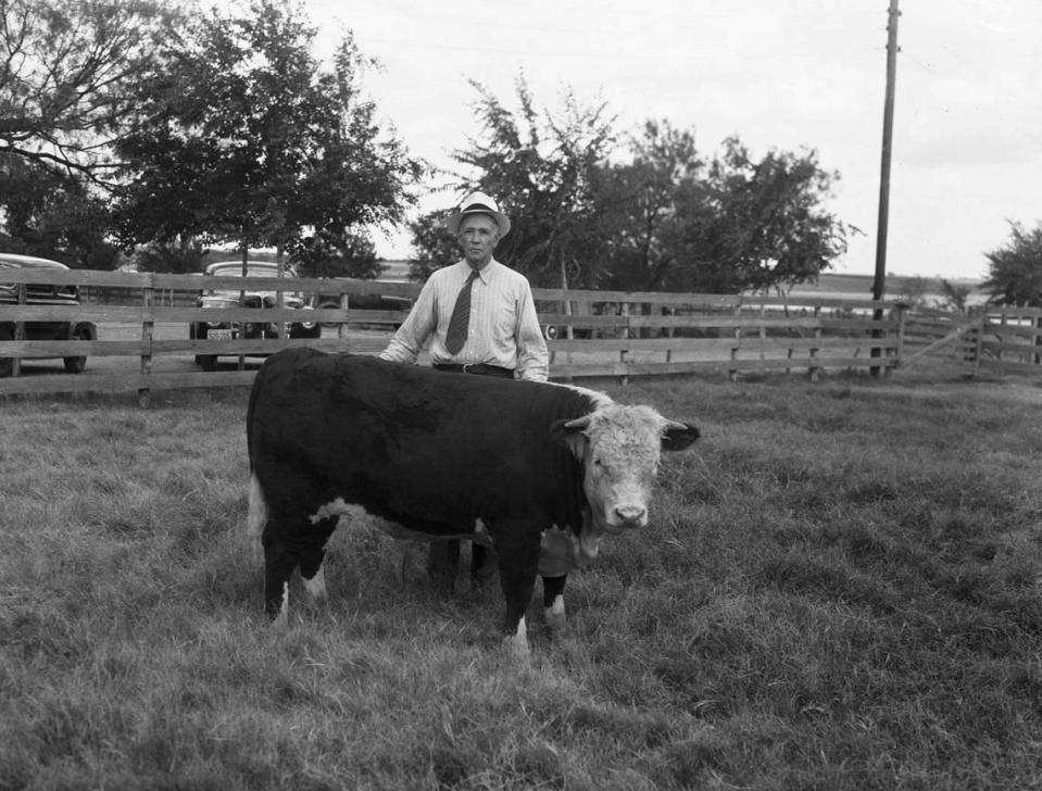 1940: When J. N. Edens Senior entertained the farm club boys of Navarro County at the Fair grounds in Corsicana, the Hereford enthusiast and his son accompanied the Chuck Wagon Gossiper out to the Eden ranch where these pictures were made. In this picture is J. N. Edens Senior exhibits his bull calf Eden’s Publican Domino 2nd, that was sired by Publican Domino 44th. This calf will be exhibited at the Corsicana Fair, September 24-28.