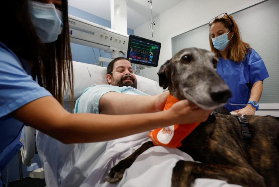 Joel Bueno caresses therapy dogs as the Affinity Foundation brings dogs to comfort ICU (Intensive Care Unit) patients at Hospital del Mar in Barcelona, Spain, on April 18, 2024. REUTERS