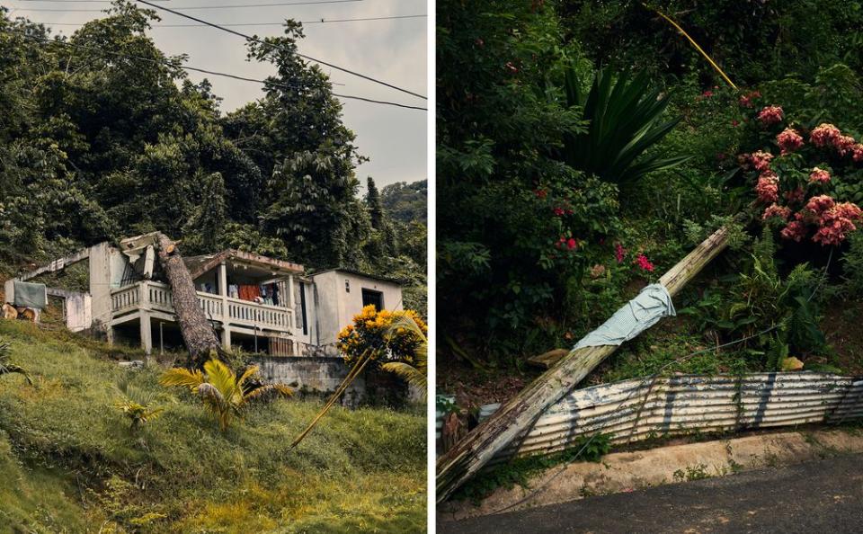 A house damaged by a fallen tree in the Caníaco neighborhood of Utuado; a downed power line.