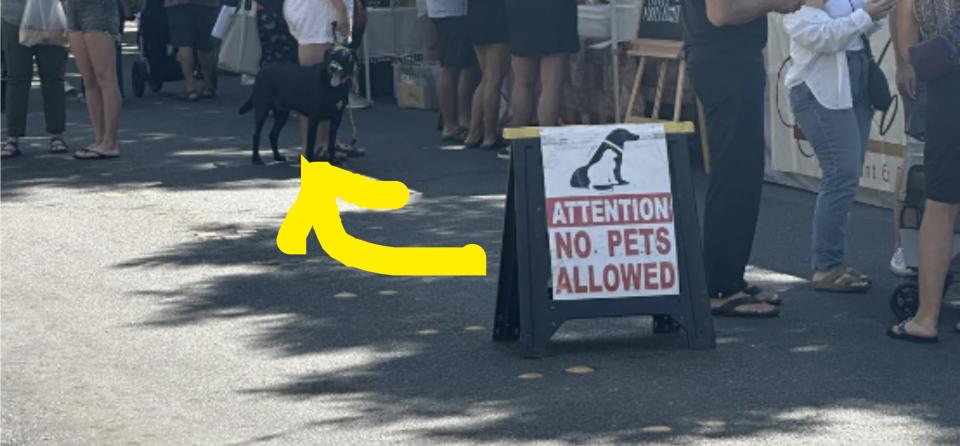 An outdoor market scene with a sign that reads "Attention: No Pets Allowed" with people and stalls in the background