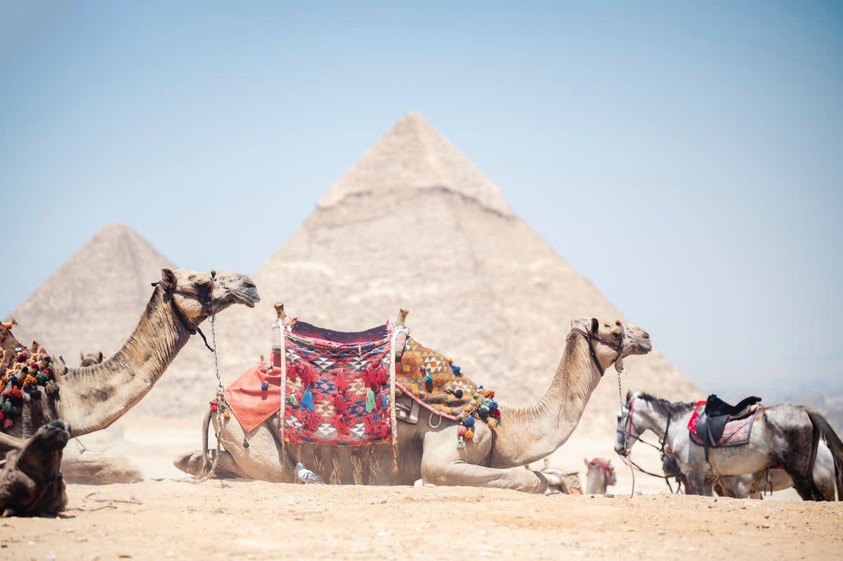 Most parts of Egypt, including the major tourist attractions, are accessible to travellers (Ben White/Unsplash )