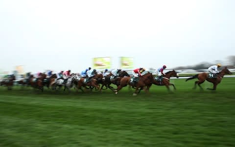 Grand National Festival - Credit: Action Images