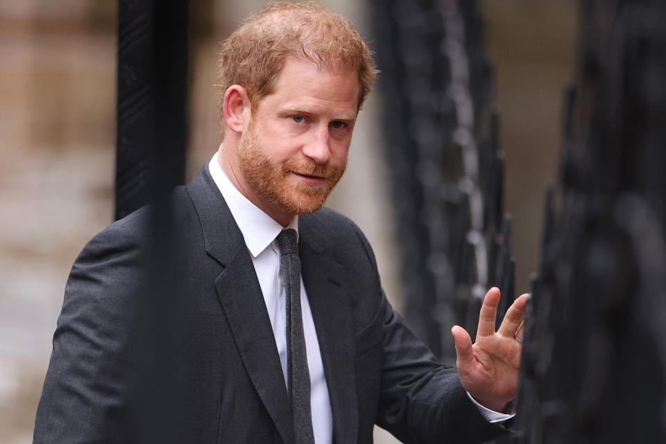 Dan Kitwood/Getty Images Prince Harry 