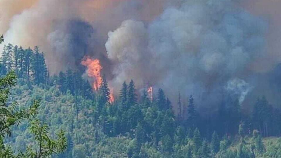 The Monument Fire burns in Northern California on Aug. 2, 2021, near forests set aside to offset industrial carbon pollution. Healthy forests store carbon naturally, but when they burn, the carbon literally goes up in smoke, adding to global climate change instead of helping to slow it.