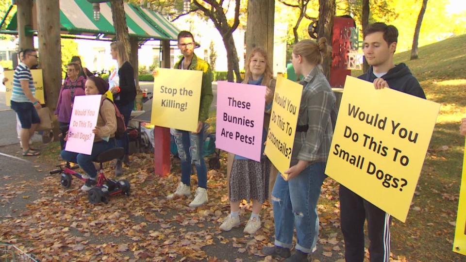 Concerned advocates protested against the culling of rabbits on Granville Island. They say the bunnies should be sterilized and housed rather than euthanized. 