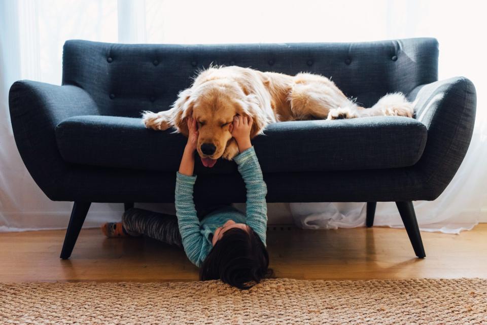 girl playing with dog