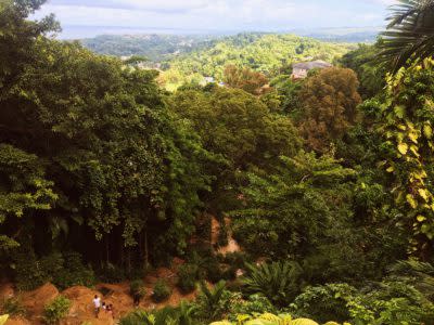 Kinoki Falls. Credit: Amara Amaryah