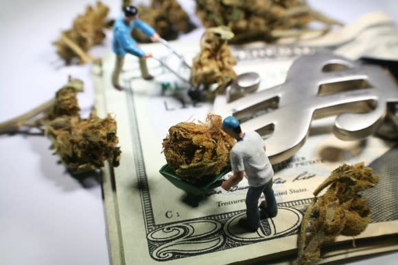 Tiny figures pushing wheelbarrows with marijuana buds on top of 20 dollar bills in a dollar sign money clip