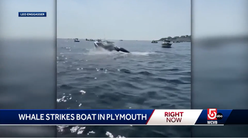 The 19-ft fishing vessel sustained minimal damage and was still deemed seaworthy after the incident, officials said (WCVB/video screengrab)