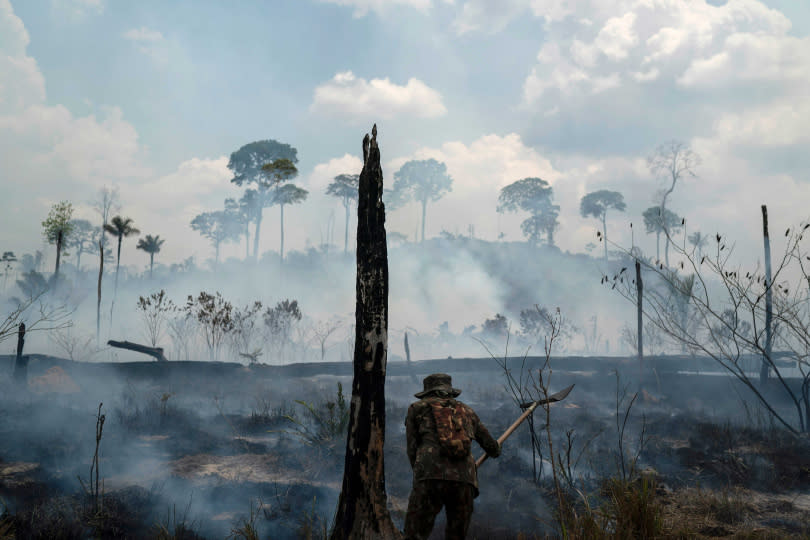亞馬遜雨林恐在40年內就會消失！（圖／達志／美聯社）